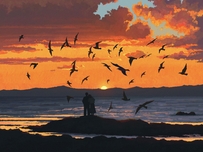 唯美日落海边情侣剪影，飞鸟群浪漫壁纸